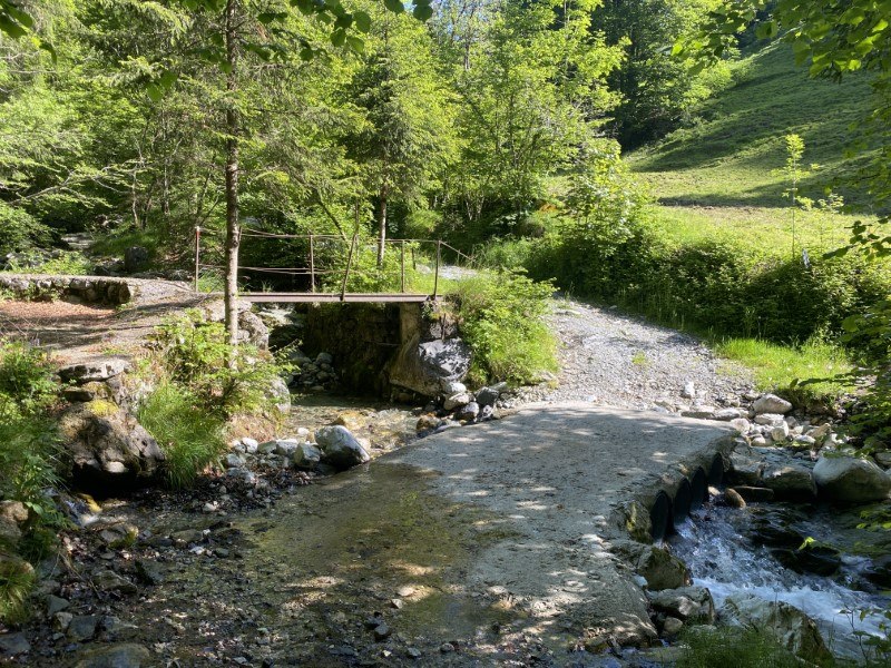 Anello Zorzone - Piani Bracca – Sentiero – foto 18