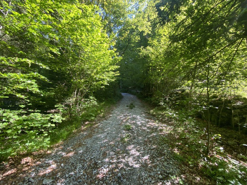 Anello Zorzone - Piani Bracca – Sentiero – foto 19