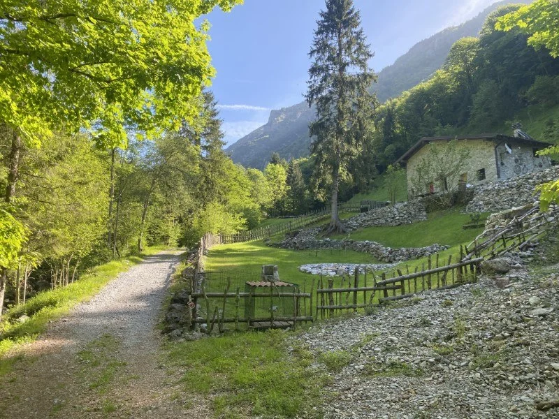 Anello Zorzone - Piani Bracca – Sentiero – foto 20