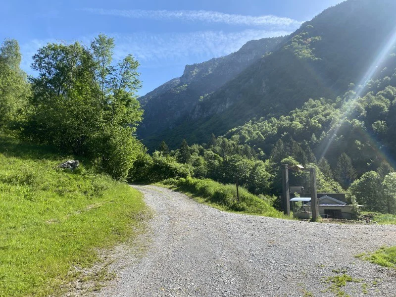 Anello Zorzone - Piani Bracca – Sentiero – foto 22