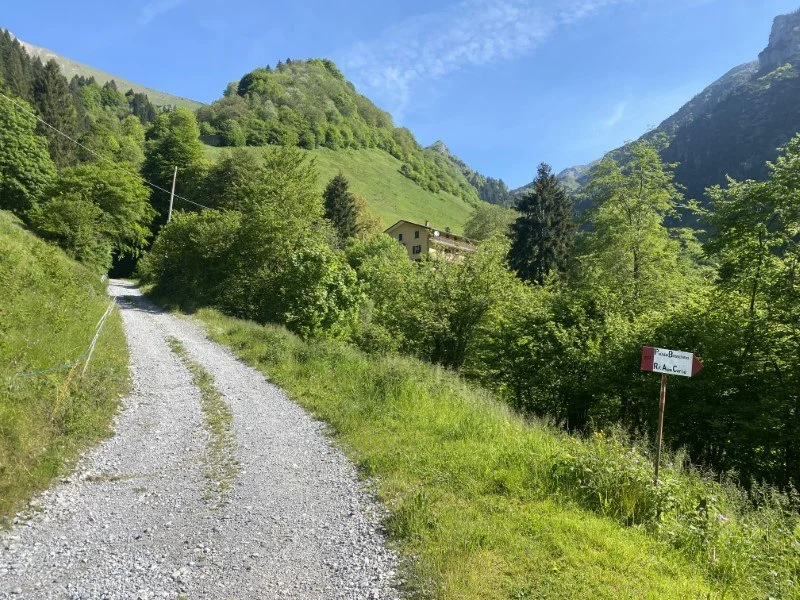 Anello Zorzone - Piani Bracca – Sentiero – foto 23