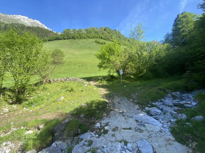 Anello Zorzone - Piani Bracca – Sentiero – foto 25