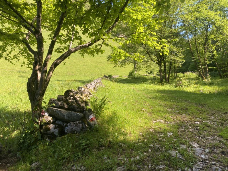 Anello Zorzone - Piani Bracca – foto 2
