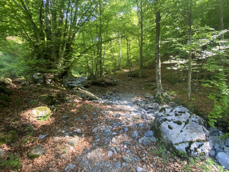 Anello Zorzone - Piani Bracca – foto 3