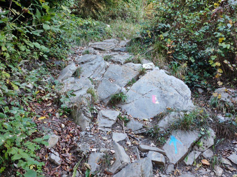 Monte Cornagera dal canyon (EE) – Sentiero – foto 5