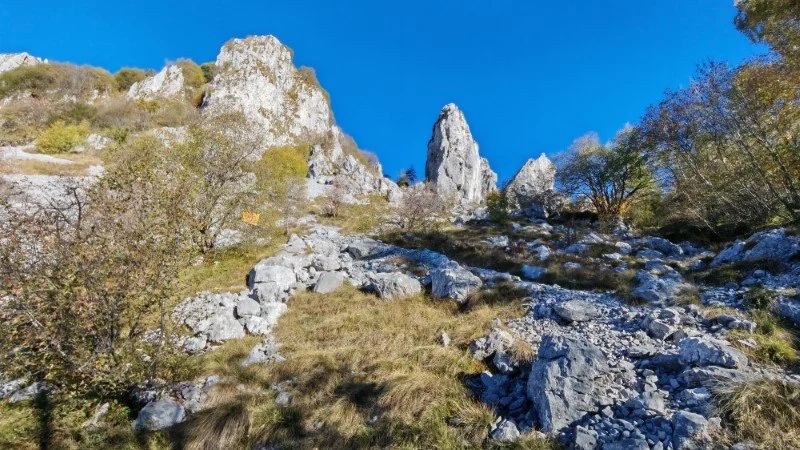 Monte Cornagera dal canyon (EE) – Sentiero – foto 16