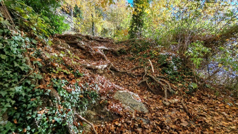 Monte Cornagera dal canyon (EE) – Sentiero – foto 4