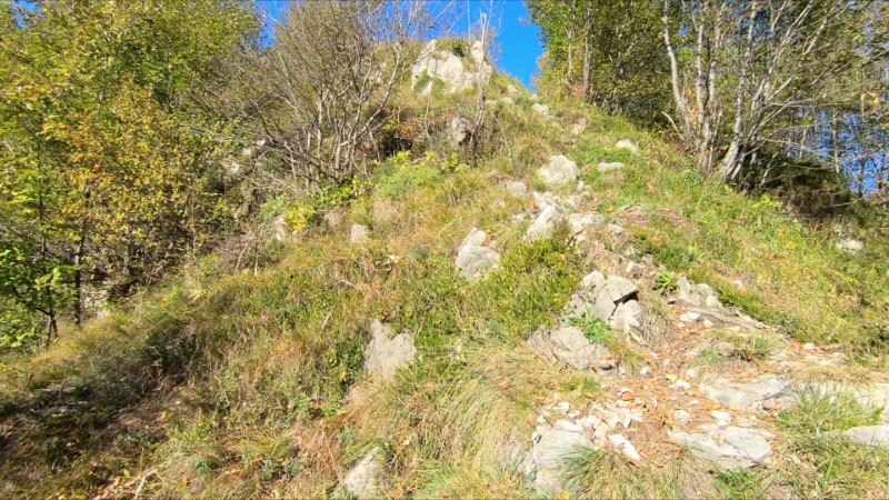 Le Podone da Selvino ⛰️ – Sentiero – foto 11