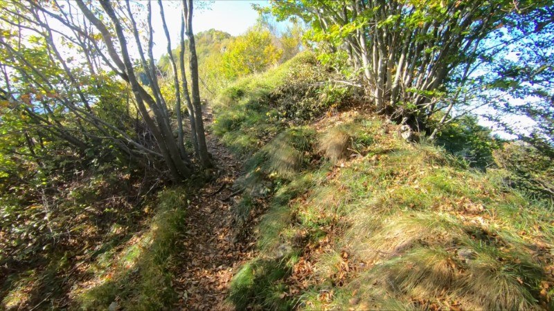 Le Podone da Selvino ⛰️ – Sentiero – foto 15