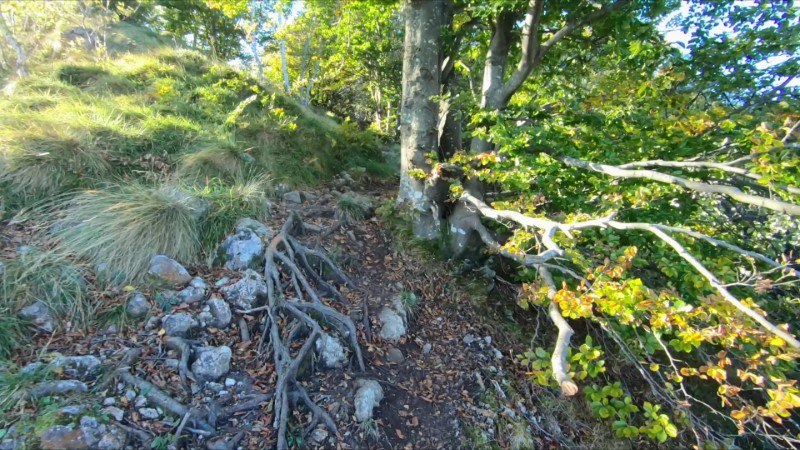 Le Podone da Selvino ⛰️ – Sentiero – foto 16