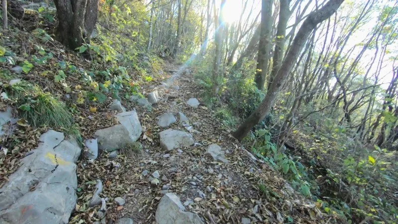 Monte Cornagera dal canyon (EE) – Sentiero – foto 10
