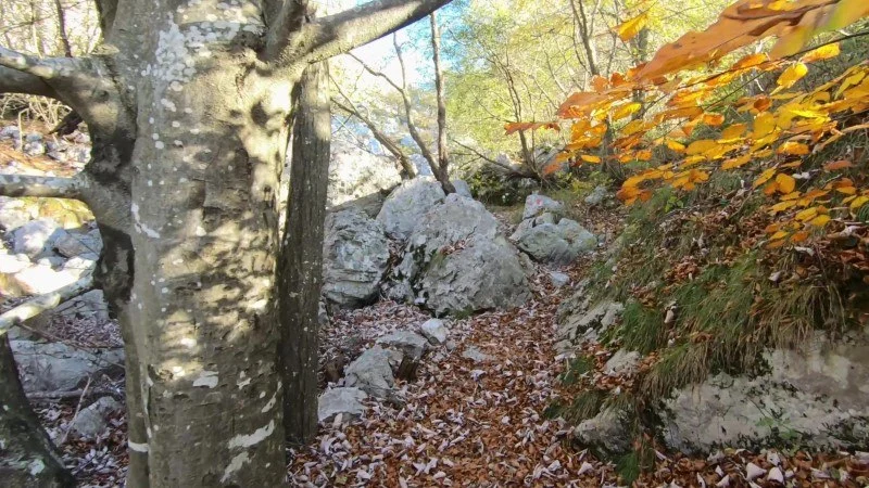 Monte Cornagera dal canyon (EE) – Sentiero – foto 15