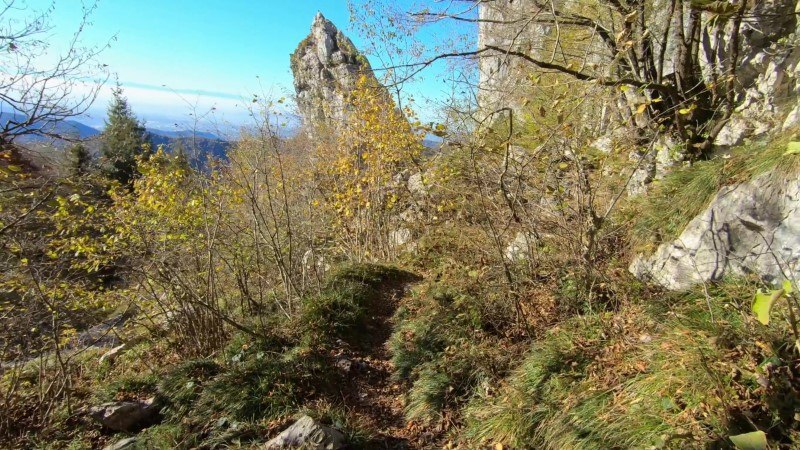 Monte Cornagera dal canyon (EE) – Sentiero – foto 18