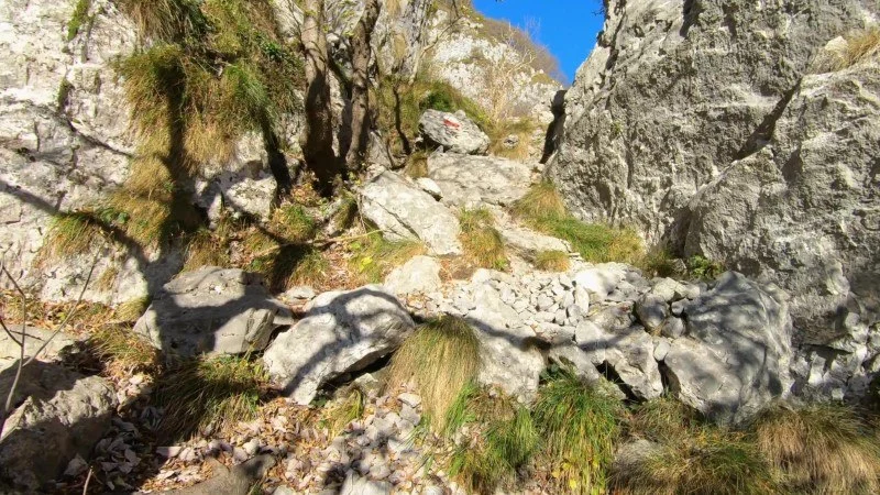 Monte Cornagera dal canyon (EE) – Sentiero – foto 22