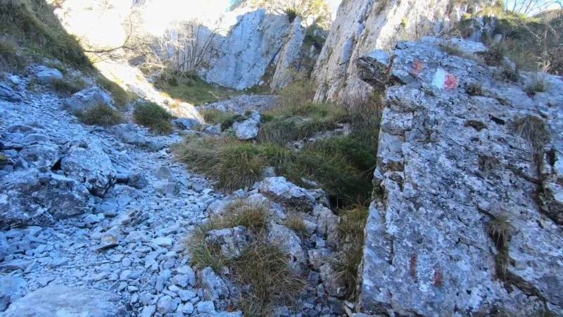 Monte Cornagera dal canyon (EE) – Sentiero – foto 24
