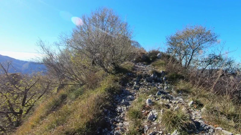 Monte Cornagera dal canyon (EE) – Sentiero – foto 31
