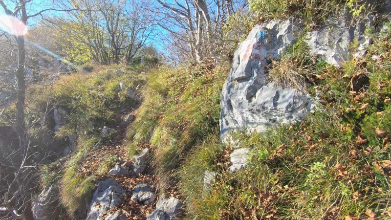 Monte Cornagera dal canyon (EE) – Sentiero – foto 32