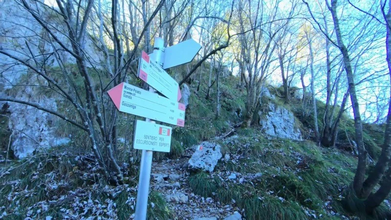 Monte Cornagera dal canyon (EE) – Sentiero – foto 34