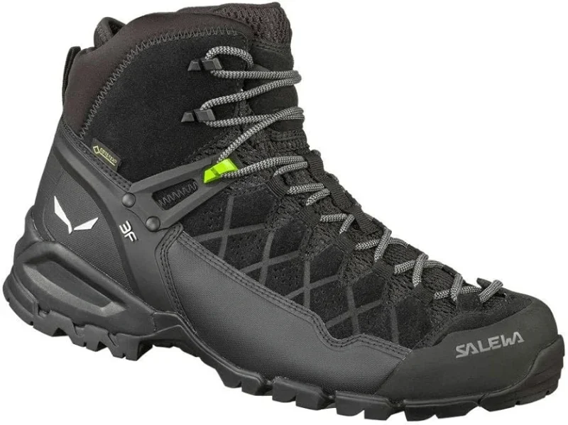 Salewa Alp Trainer 2