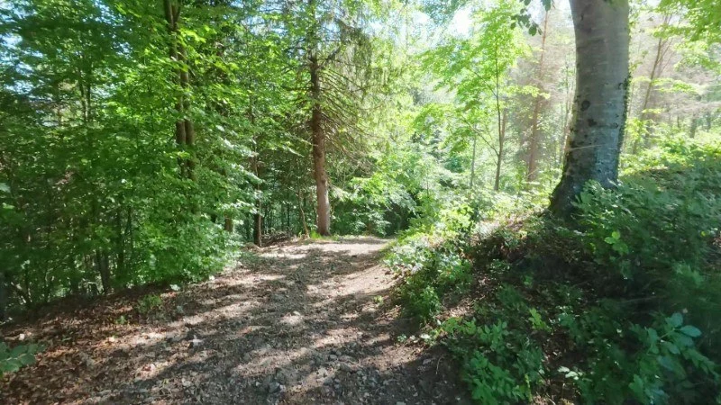Monte Gioco da Corone – Discesa con anello – foto 17