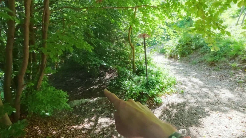Monte Gioco da Corone – Discesa con anello – foto 18