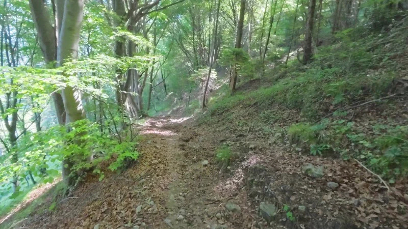 Monte Gioco da Corone – Discesa con anello – foto 19