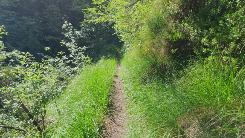 Monte Gioco da Corone – Discesa con anello – foto 26
