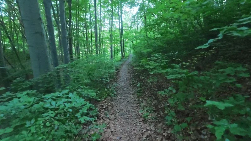 Monte Gioco da Corone – Sentiero – foto 7