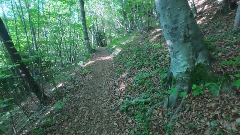Monte Gioco da Corone – Sentiero – foto 10