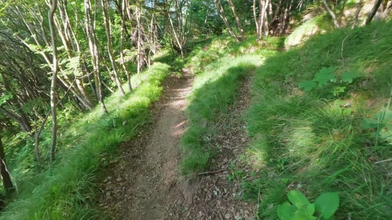Monte Gioco da Corone – Sentiero – foto 11