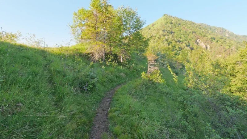 Monte Gioco da Corone – Sentiero – foto 16