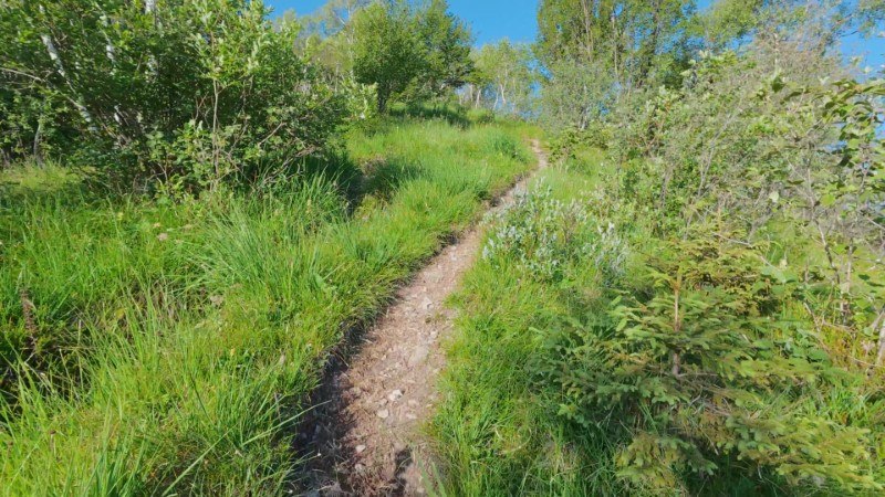 Monte Gioco da Corone – Sentiero – foto 17