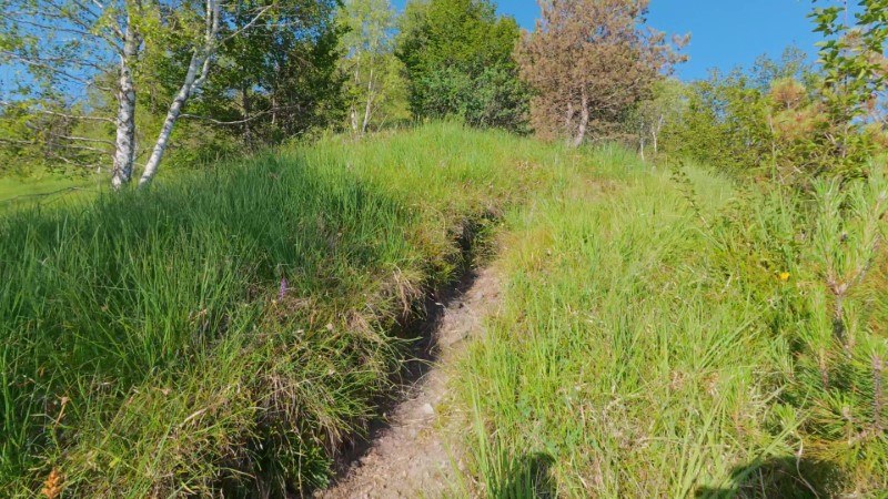 Monte Gioco da Corone – Sentiero – foto 18