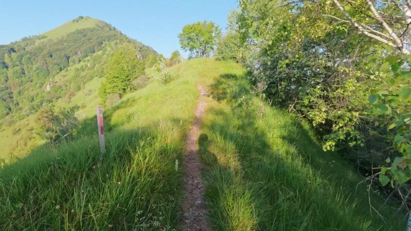Monte Gioco da Corone – Sentiero – foto 21