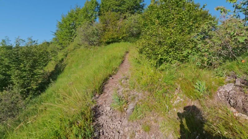 Monte Gioco da Corone – Sentiero – foto 24