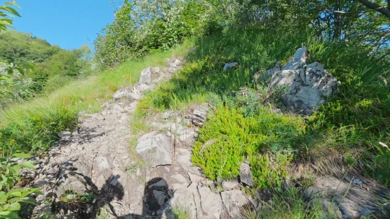 Monte Gioco da Corone – Sentiero – foto 25