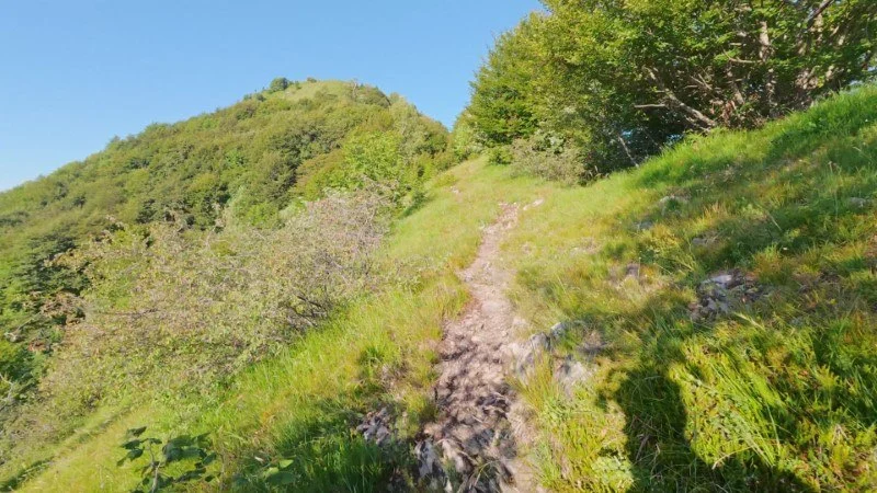 Monte Gioco da Corone – Sentiero – foto 26