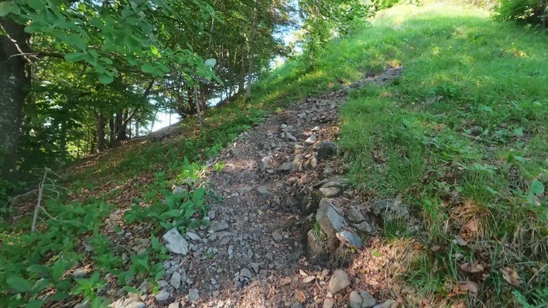 Monte Gioco da Corone – Sentiero – foto 28