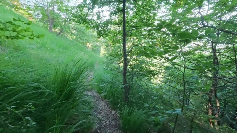 Monte Gioco da Corone – Discesa con anello – foto 11