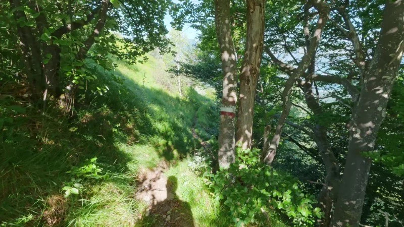 Monte Gioco da Corone – Discesa con anello – foto 13