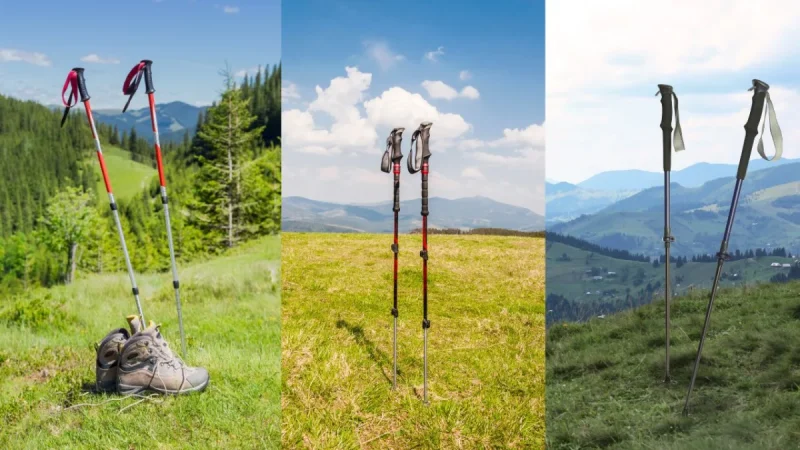migliori Bastoncini da Trekking