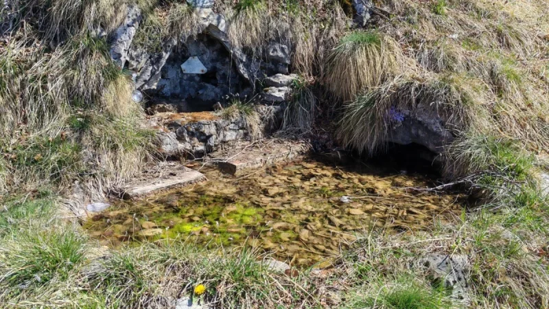 Pizzo Cerro e Castel Regina da Cavaglia – Discesa con anello – foto 7