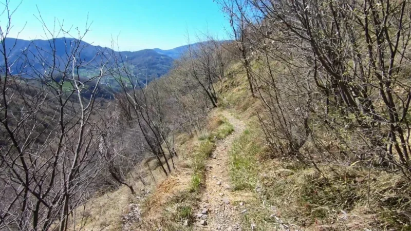 Pizzo Cerro e Castel Regina da Cavaglia – Discesa con anello – foto 16