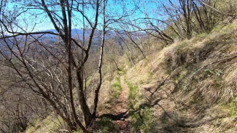 Pizzo Cerro e Castel Regina da Cavaglia – Discesa con anello – foto 17