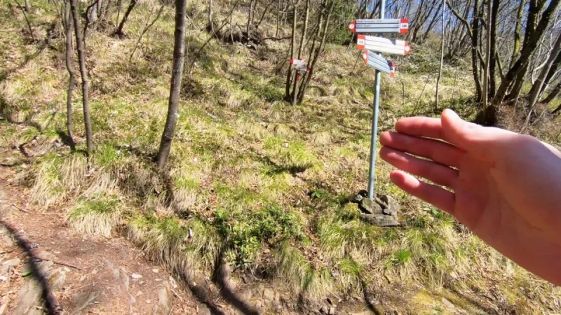 Pizzo Cerro e Castel Regina da Cavaglia – Discesa con anello – foto 19