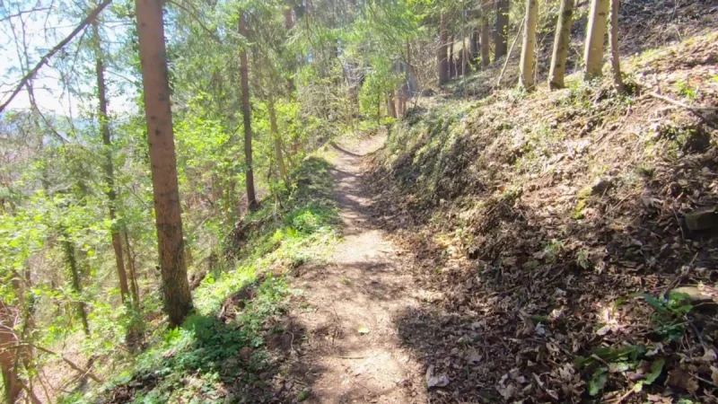 Pizzo Cerro e Castel Regina da Cavaglia – Discesa con anello – foto 20