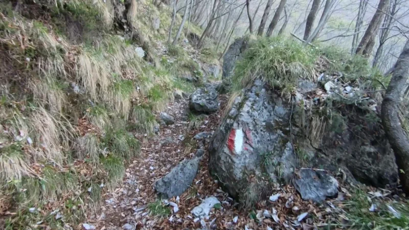 Pizzo Cerro e Castel Regina da Cavaglia – Sentiero – foto 8