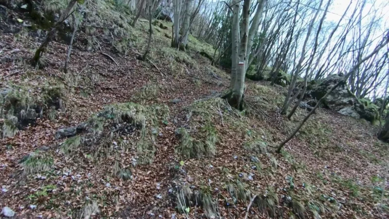 Pizzo Cerro e Castel Regina da Cavaglia – Sentiero – foto 9