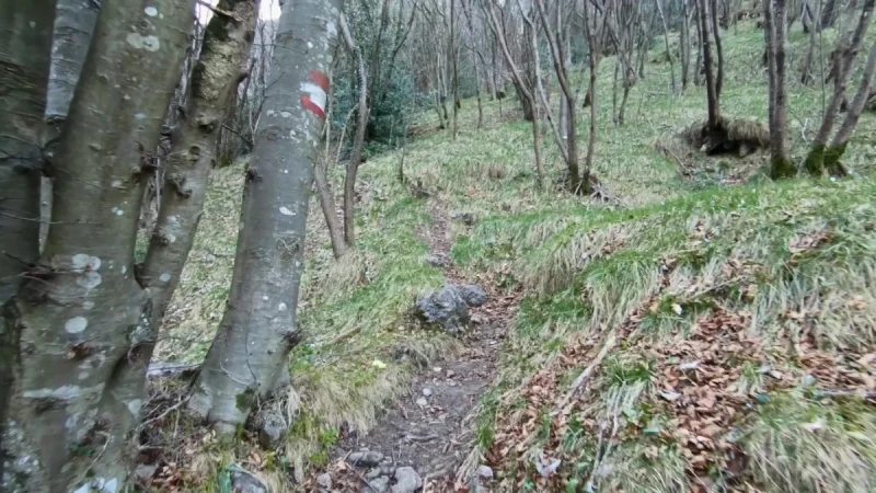 Pizzo Cerro e Castel Regina da Cavaglia – Sentiero – foto 11