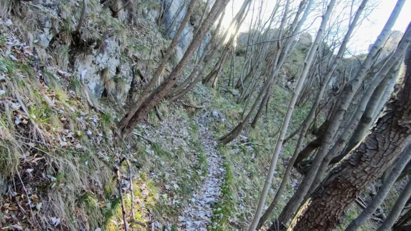 Pizzo Cerro e Castel Regina da Cavaglia – Sentiero – foto 14